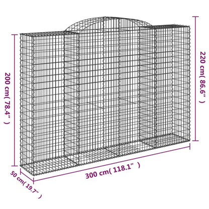 Cesti Gabbioni ad Arco 13 pz 300x50x200/220 cm Ferro Zincato