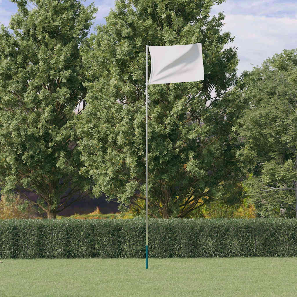 Asta Telescopica per Bandiere Argento 5,5 m in Alluminio | homemem39