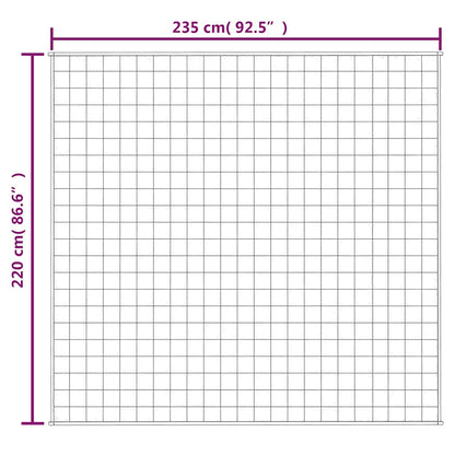 Coperta Ponderata Grigia 220x235 cm 11 kg Tessuto | homemem39