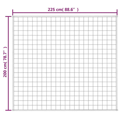 Coperta Ponderata Blu 200x225 cm 13 kg Tessuto | homemem39