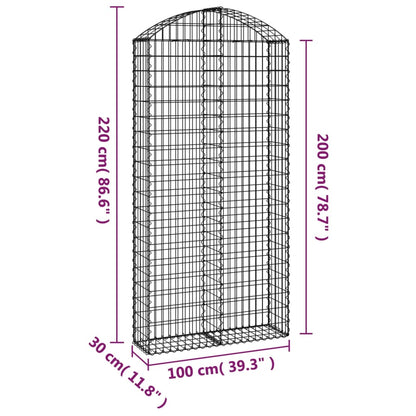 Cesto Gabbione ad Arco 100x30x200/220 cm Ferro Zincato - homemem39