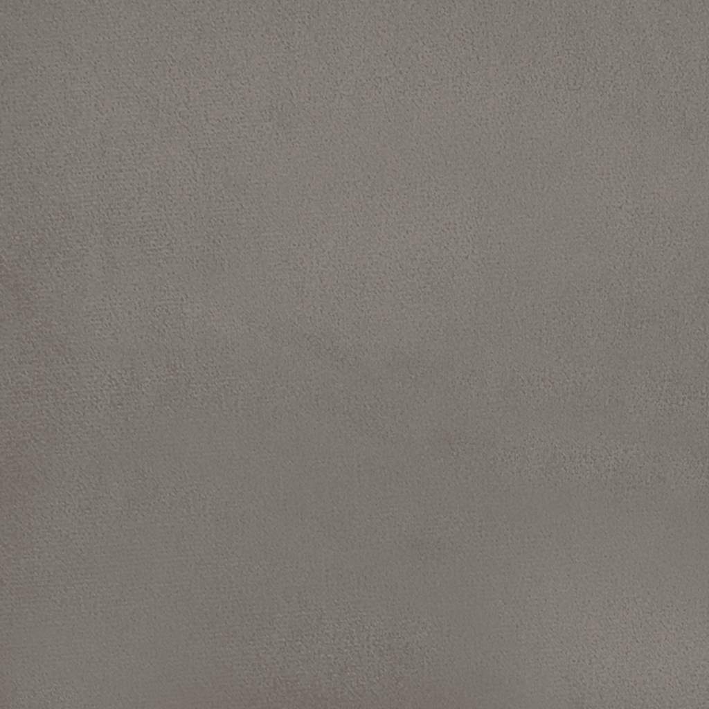 Divano a 2 Posti con Cuscini Grigio Chiaro 120 cm in Velluto | homemem39