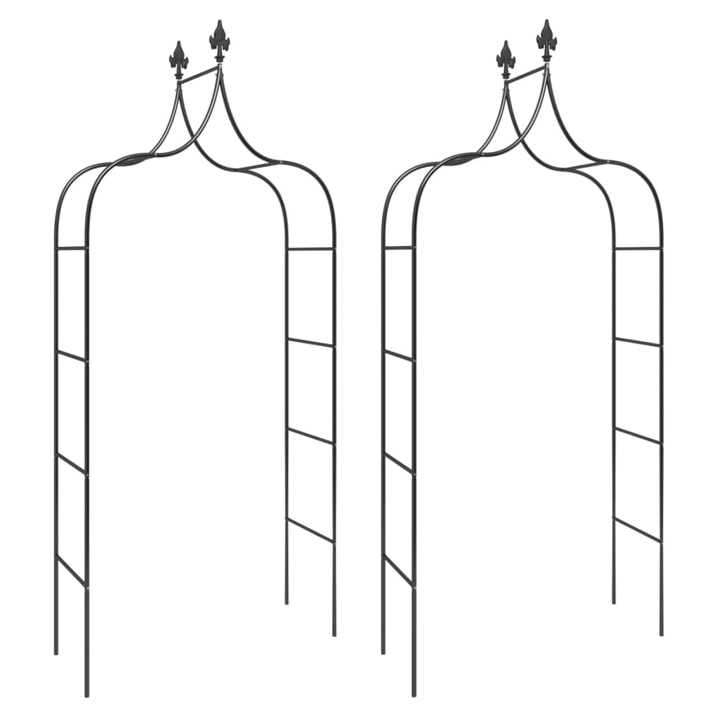 Archi da Giardino 2 pz Neri 120x38x260 cm Acciaio | homemem39