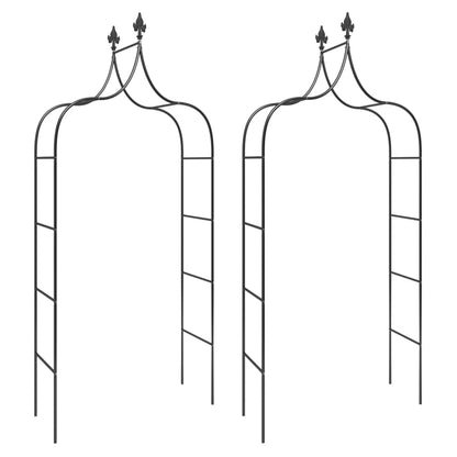 Archi da Giardino 2 pz Neri 120x38x260 cm Acciaio | homemem39