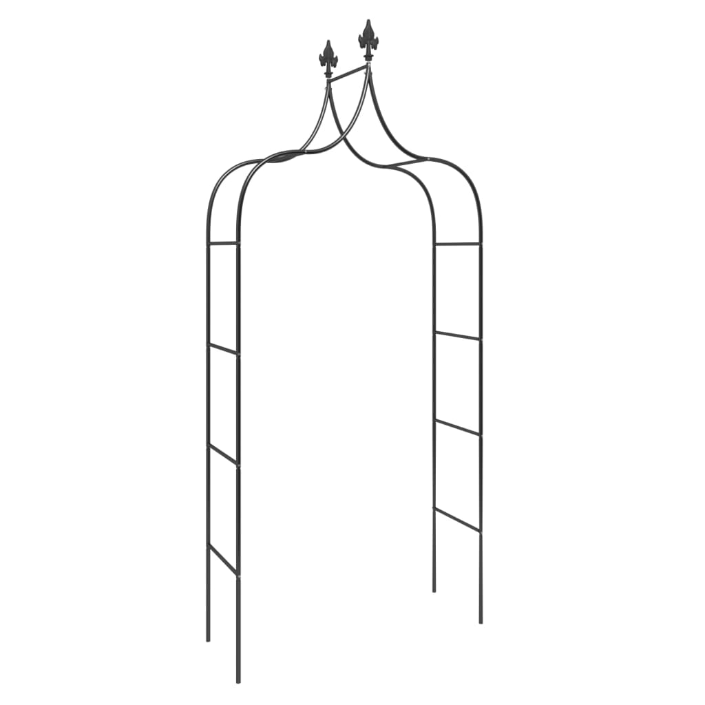 Archi da Giardino 2 pz Neri 120x38x260 cm Acciaio | homemem39