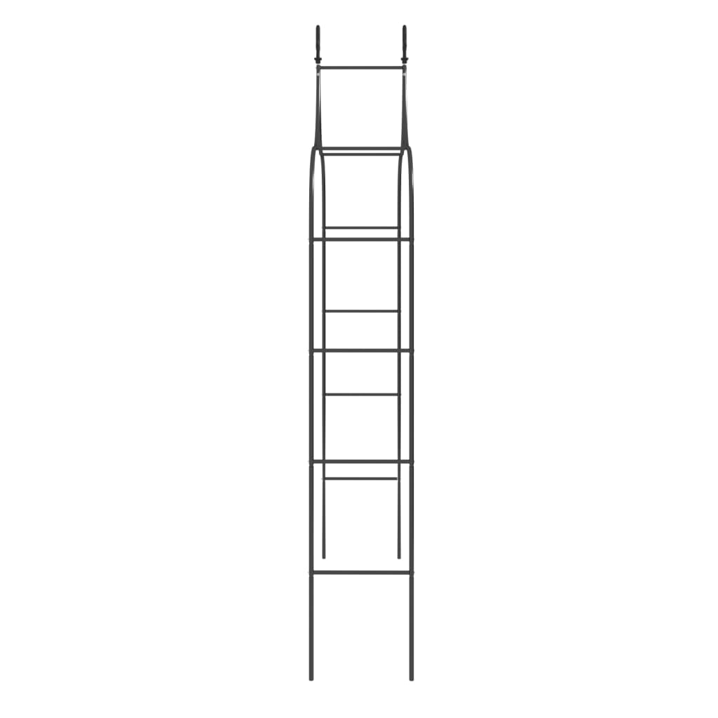 Archi da Giardino 2 pz Neri 120x38x260 cm Acciaio | homemem39