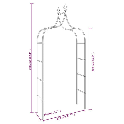 Archi da Giardino 2 pz Neri 120x38x260 cm Acciaio | homemem39