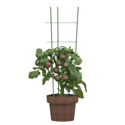 Supporti Piante da Giardino con 3 Anelli 5pz Verde 60cm Acciaio - homemem39