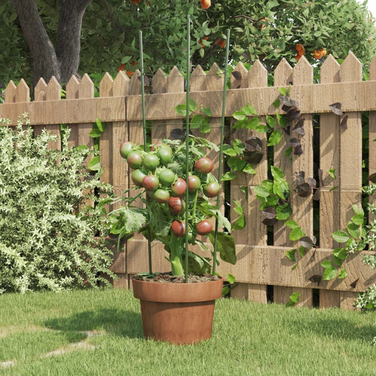 Supporti Piante da Giardino con 3 Anelli 5pz Verde 60cm Acciaio - homemem39