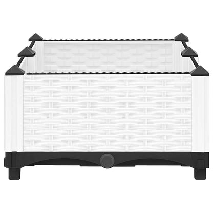 Fioriera Rialzata 80x40x23 cm in Polipropilene | homemem39