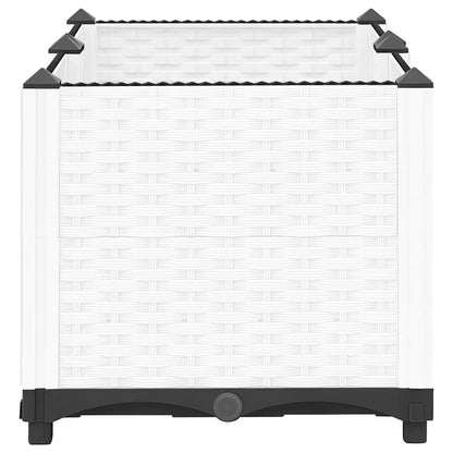 Fioriera Rialzata 80x40x38 cm in Polipropilene - homemem39