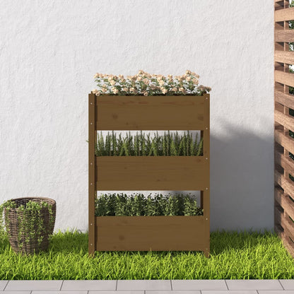 Fioriera Marrone Ambra 77x25x104,5 cm in Legno Massello di Pino - homemem39