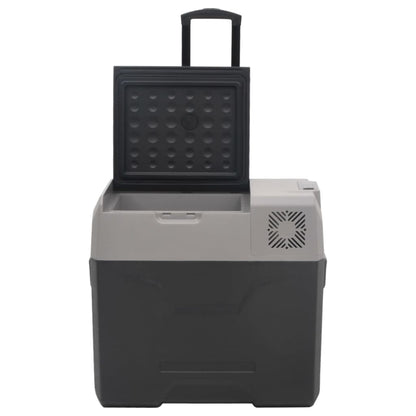 Borsa Frigo con Manico e Ruote Nera e Grigia 30 L Polipropilene | homemem39