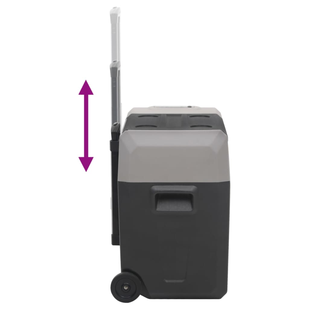 Borsa Frigo con Manico e Ruote Nera e Grigia 30 L Polipropilene | homemem39