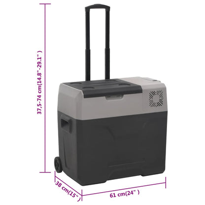 Borsa Frigo con Manico e Ruote Nera e Grigia 30 L Polipropilene | homemem39