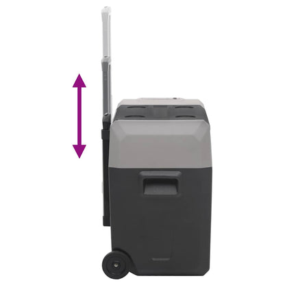 Borsa Frigo con Manico e Ruote Nera e Grigia 40 L Polipropilene | homemem39