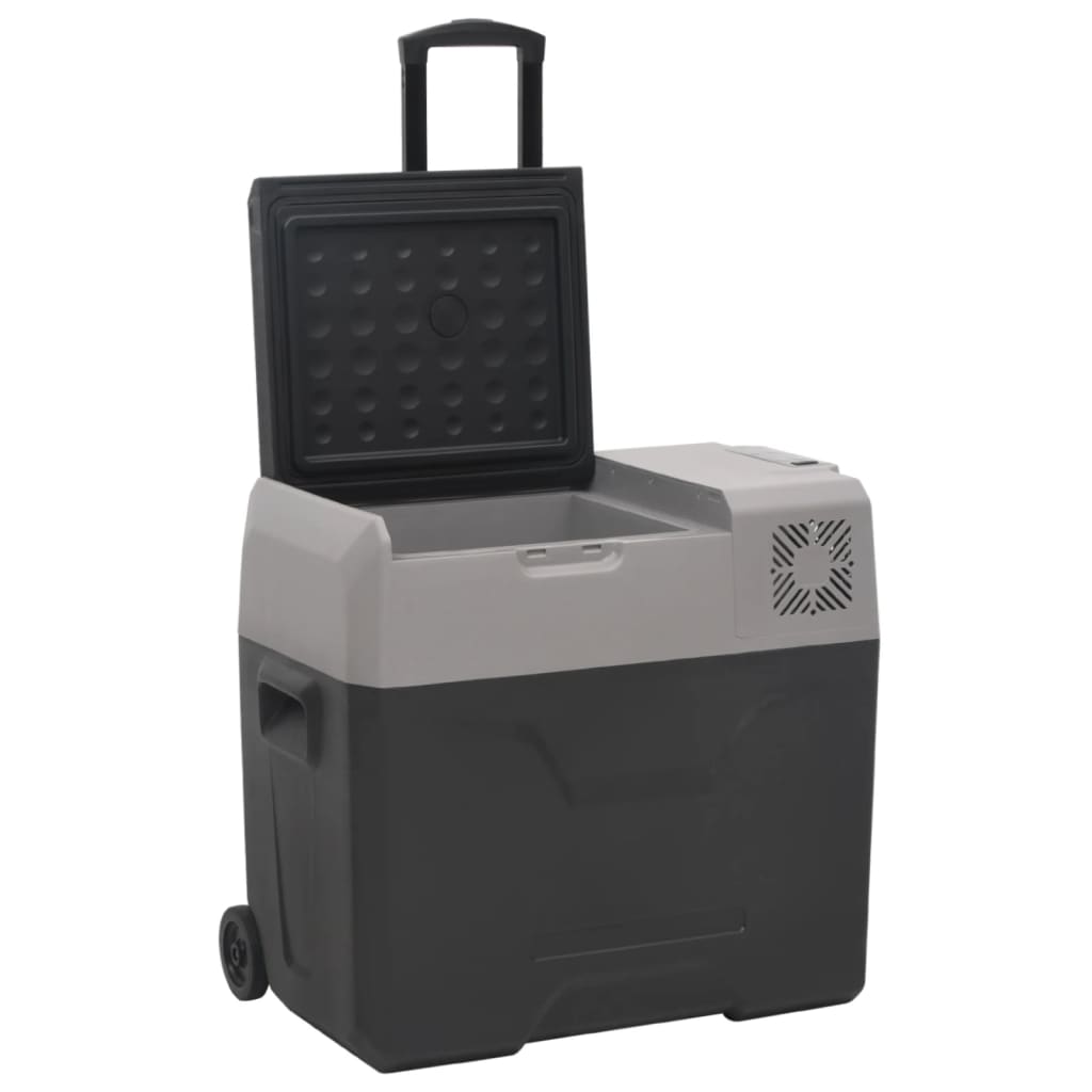 Borsa Frigo con Ruote Adattatore Nera Grigia 40 L Polipropilene | homemem39