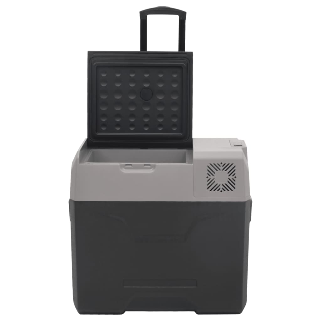 Borsa Frigo con Ruote Adattatore Nera Grigia 40 L Polipropilene | homemem39