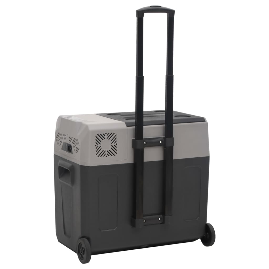 Borsa Frigo con Ruote Adattatore Nera Grigia 40 L Polipropilene | homemem39