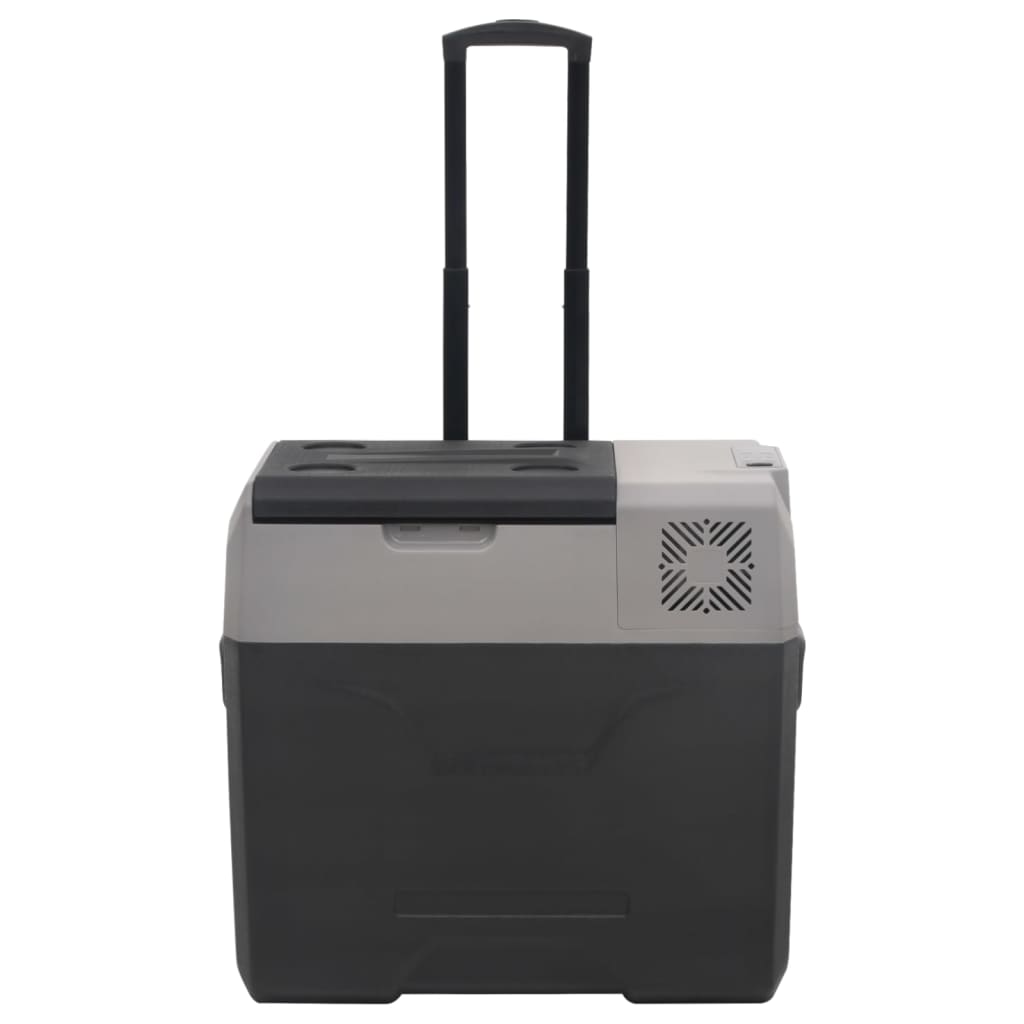 Borsa Frigo con Ruote Adattatore Nera Grigia 50 L Polipropilene | homemem39