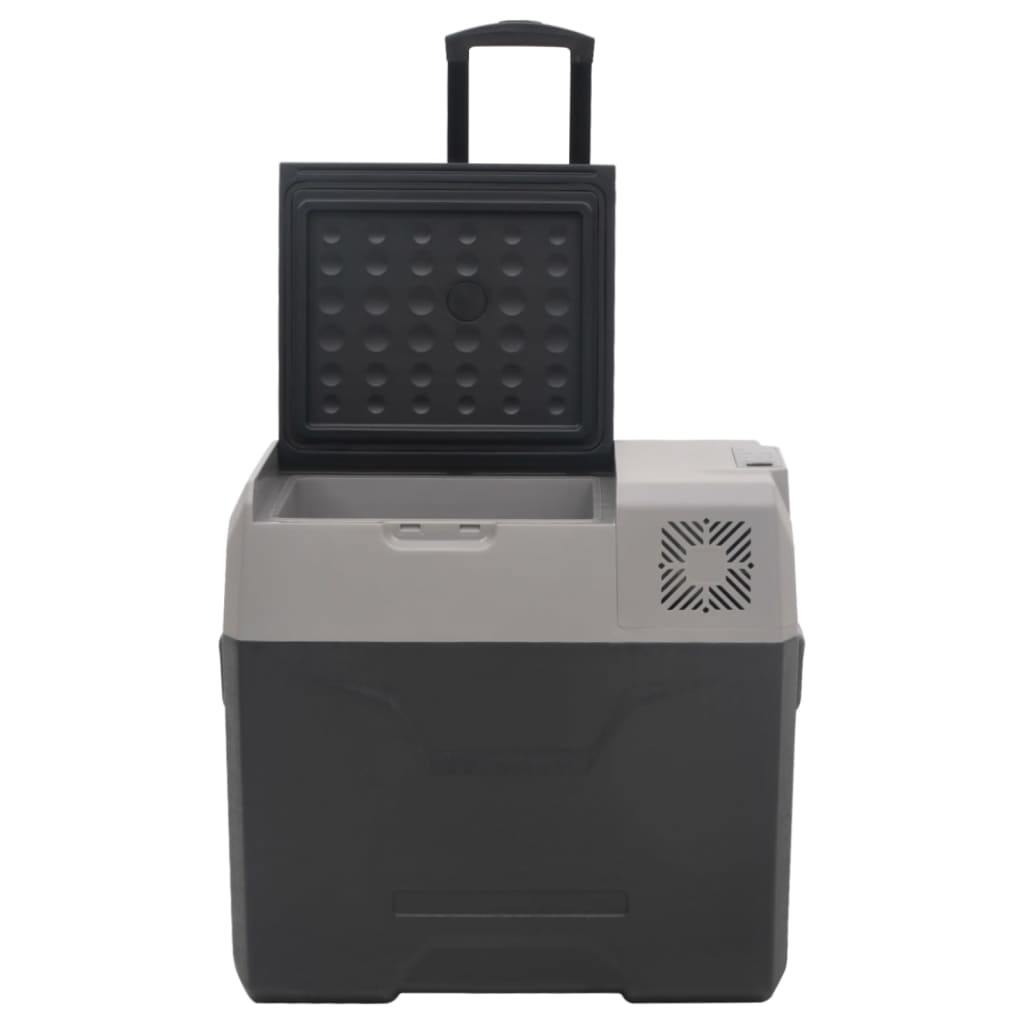 Borsa Frigo con Ruote Adattatore Nera Grigia 50 L Polipropilene | homemem39