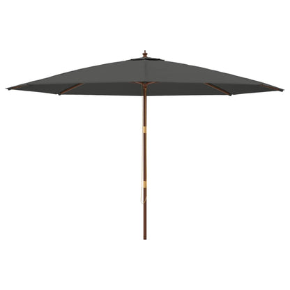 Ombrellone da Giardino con Palo in Legno Antracite 400x273 cm | homemem39
