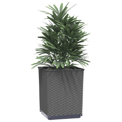 Fioriere 4 pz Nere 30x30x37 cm in Polipropilene | homemem39