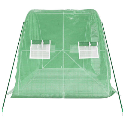 Serra con Telaio in Acciaio Verde 10 m² 5x2x2,3 m - homemem39
