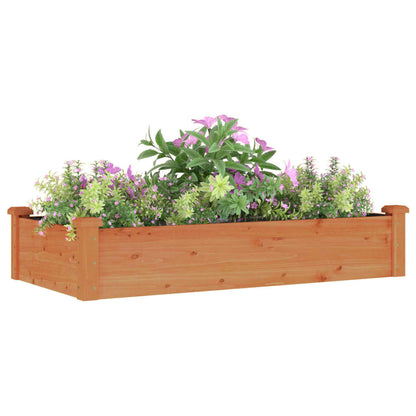 Fioriera Giardino con Fodera Marrone 120x60x25cm Massello Abete - homemem39