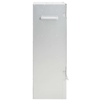 Forno Affumicatore BBQ Generatore Fumo Freddo Acciaio Zincato | homemem39