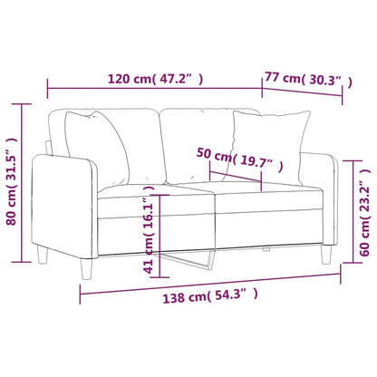 Divano a 2 Posti con Cuscini Grigio Scuro 120 cm in Tessuto | homemem39