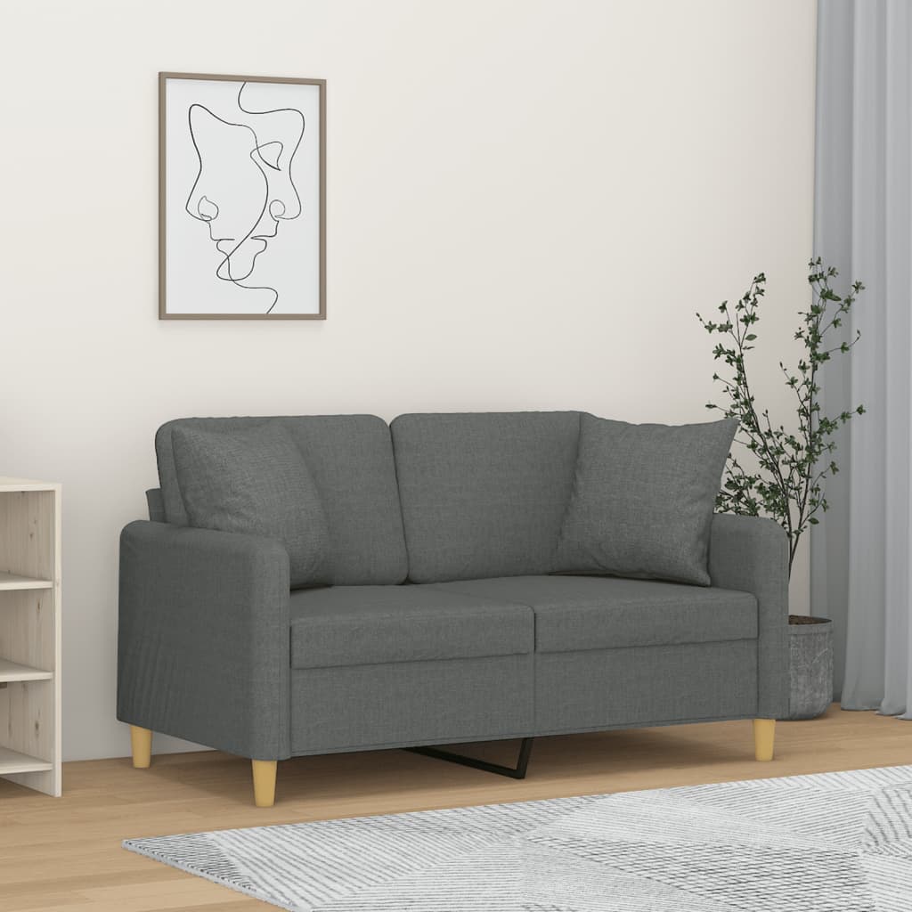 Divano a 2 Posti con Cuscini Grigio Scuro 120 cm in Tessuto | homemem39