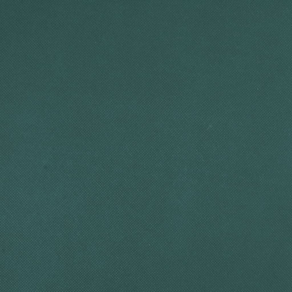 Copertura per Piante 2 Rotoli 70 g/m² 50x1,6 m