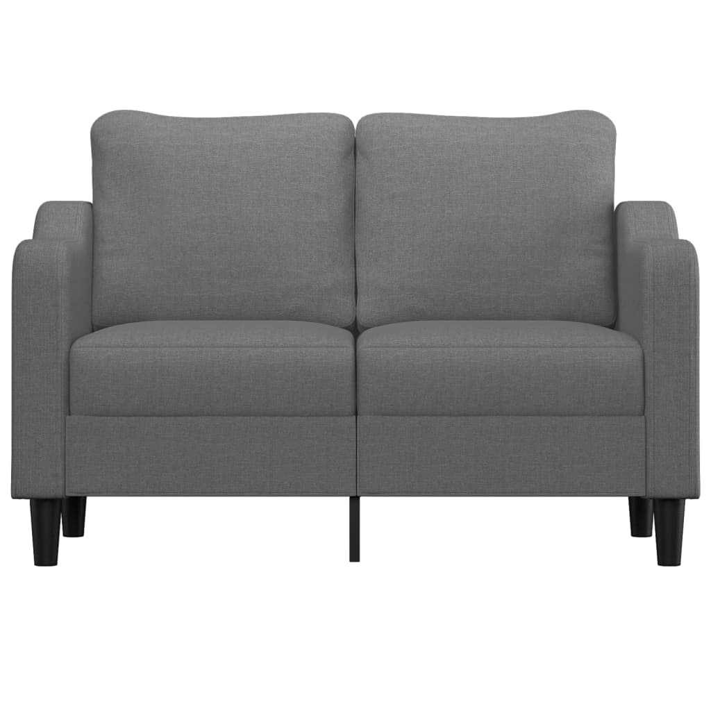 Divano a 2 Posti Grigio Scuro 120 cm in Tessuto | homemem39