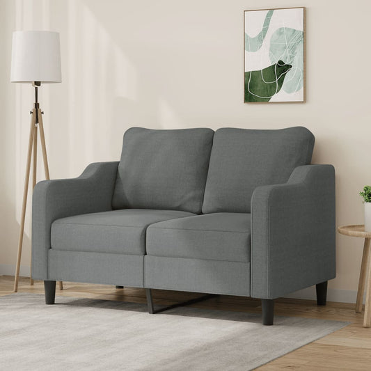Divano a 2 Posti Grigio Scuro 120 cm in Tessuto | homemem39