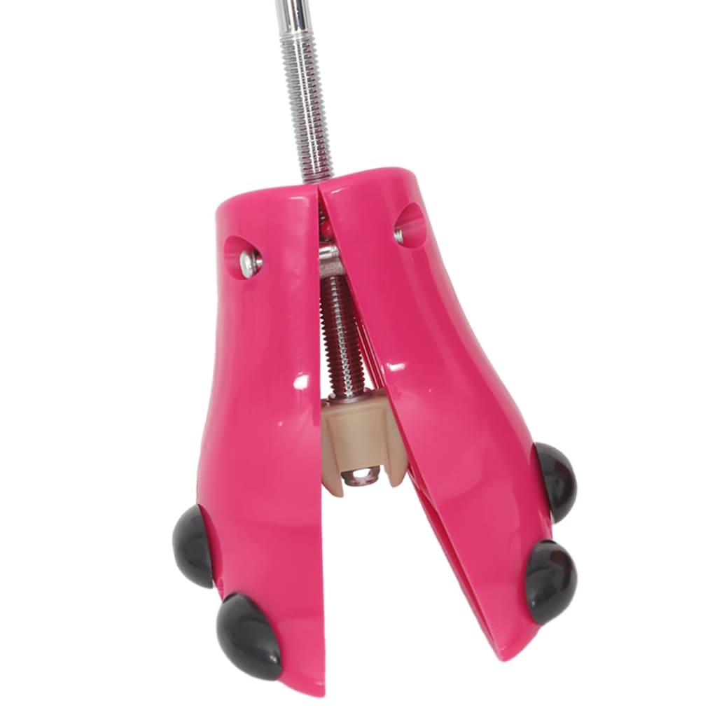 Allargatore per Stivali con Calzascarpe Rosa EU 34-40 Plastica | homemem39