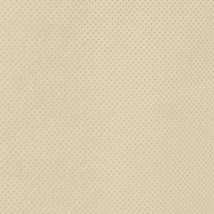 Coperture con Coulisse per Piante 4pz 70 g/m² 0,8x0,8 m - homemem39