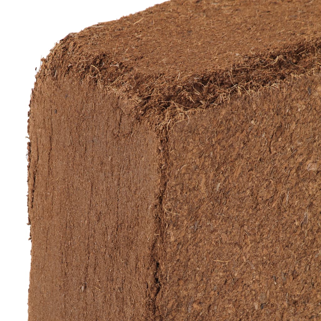Blocchi in Fibra di Cocco 5 pz 5 kg Ciascuno 25 kg Totale | homemem39