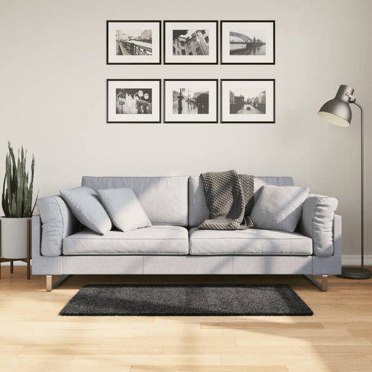 Tappeto Shaggy a Pelo Lungo Moderno Antracite 60x110 cm - homemem39