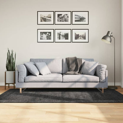 Tappeto Shaggy PAMPLONA Pelo Lungo Moderno Antracite 100x200cm - homemem39