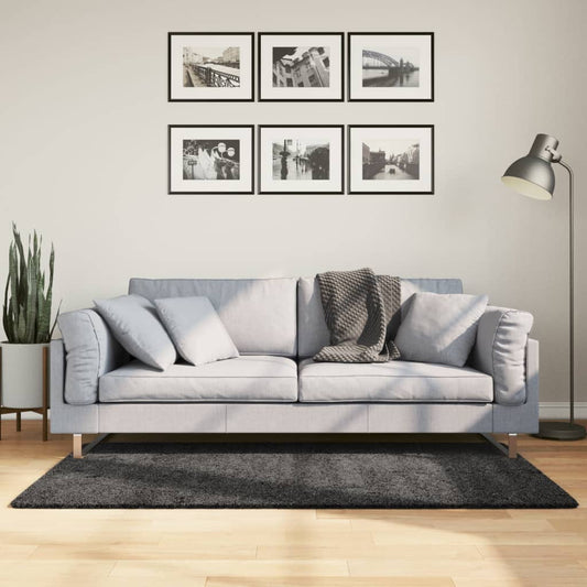 Tappeto Shaggy PAMPLONA Pelo Lungo Moderno Antracite 120x170cm - homemem39