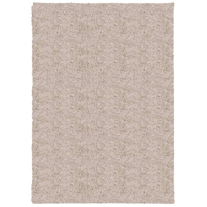 Tappeto Shaggy PAMPLONA a Pelo Lungo Moderno Beige 120x170 cm - homemem39