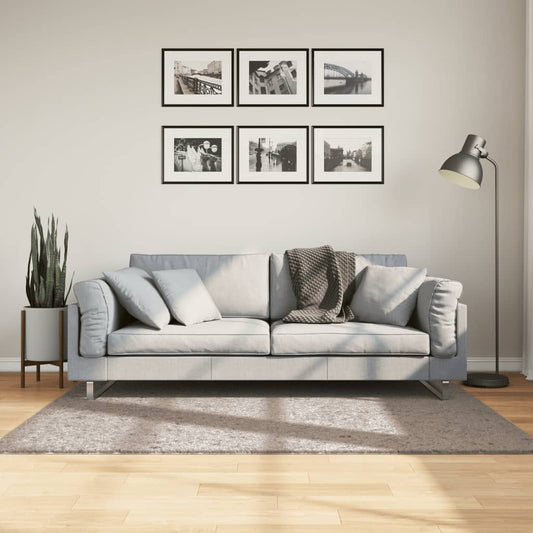 Tappeto Shaggy PAMPLONA a Pelo Lungo Moderno Beige 120x170 cm - homemem39