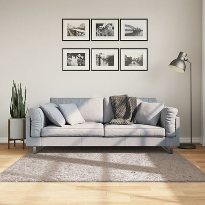Tappeto Shaggy PAMPLONA a Pelo Lungo Moderno Beige 160x160 cm - homemem39
