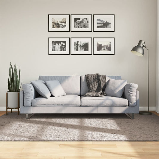 Tappeto Shaggy PAMPLONA a Pelo Lungo Moderno Beige 160x230 cm - homemem39