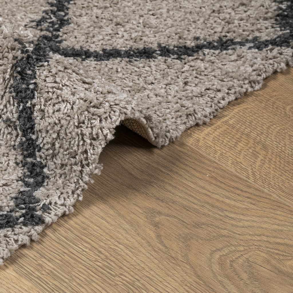 Tappeto Shaggy PAMPLONA a Pelo Lungo Beige e Antracite 80x250cm