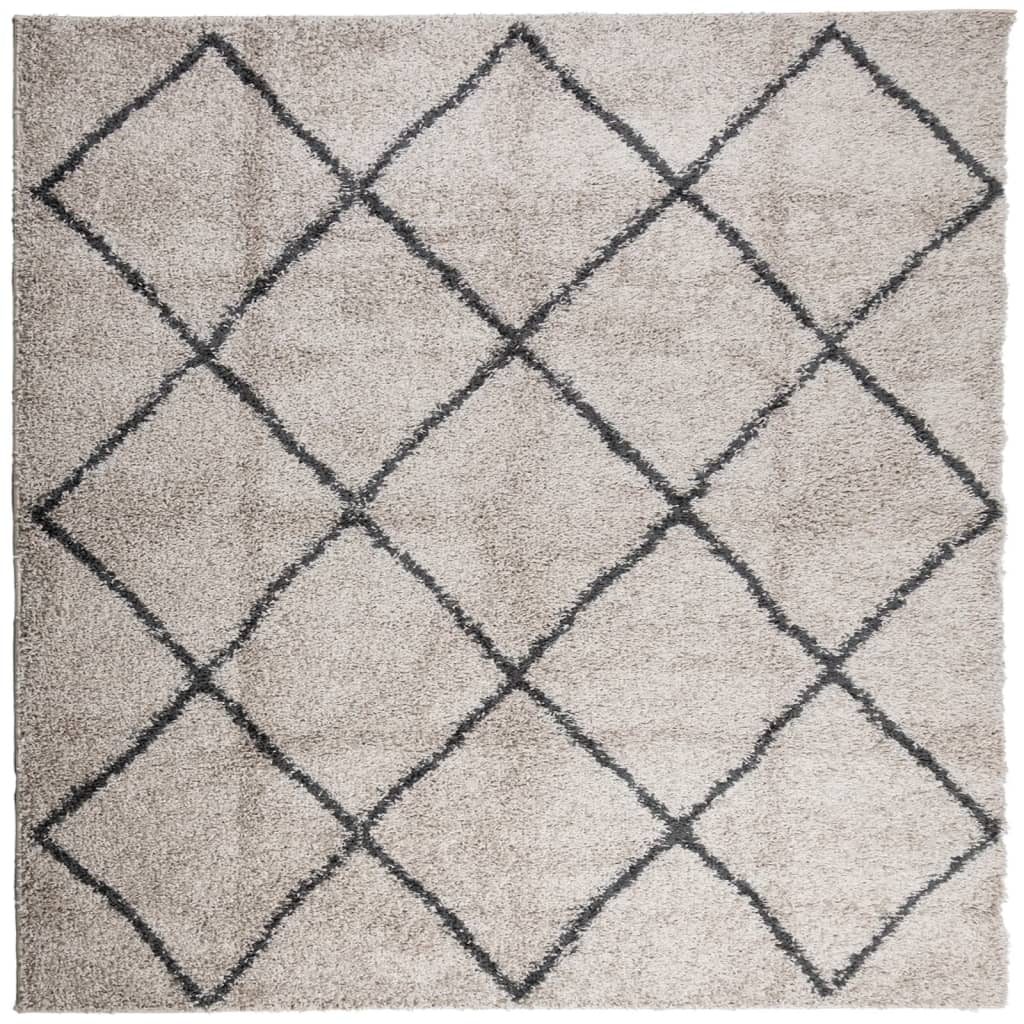 Tappeto Shaggy PAMPLONA Pelo Lungo Beige e Antracite 120x120cm - homemem39