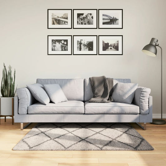 Tappeto Shaggy PAMPLONA Pelo Lungo Beige e Antracite 120x120cm - homemem39