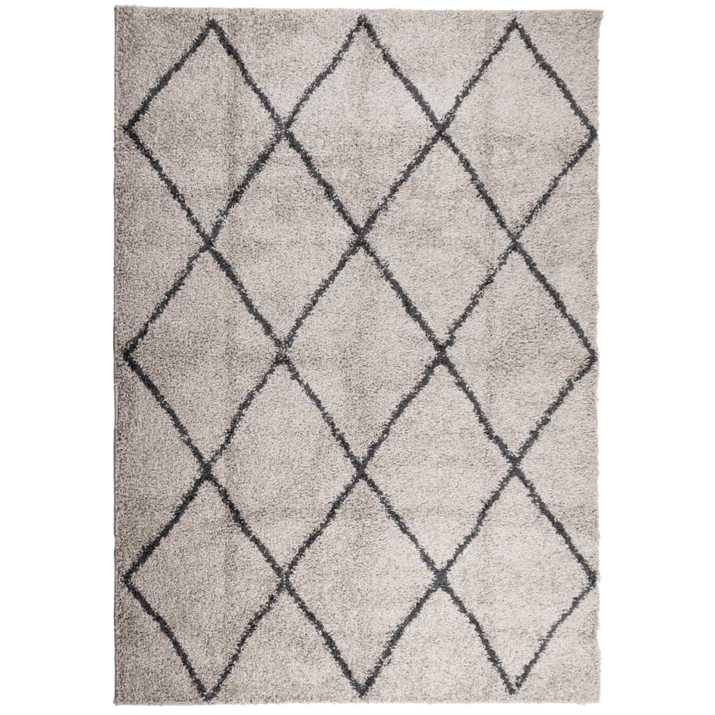 Tappeto Shaggy PAMPLONA Pelo Lungo Beige e Antracite 120x170 cm - homemem39