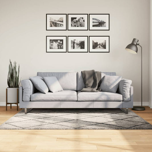 Tappeto Shaggy PAMPLONA Pelo Lungo Beige e Antracite 120x170 cm - homemem39